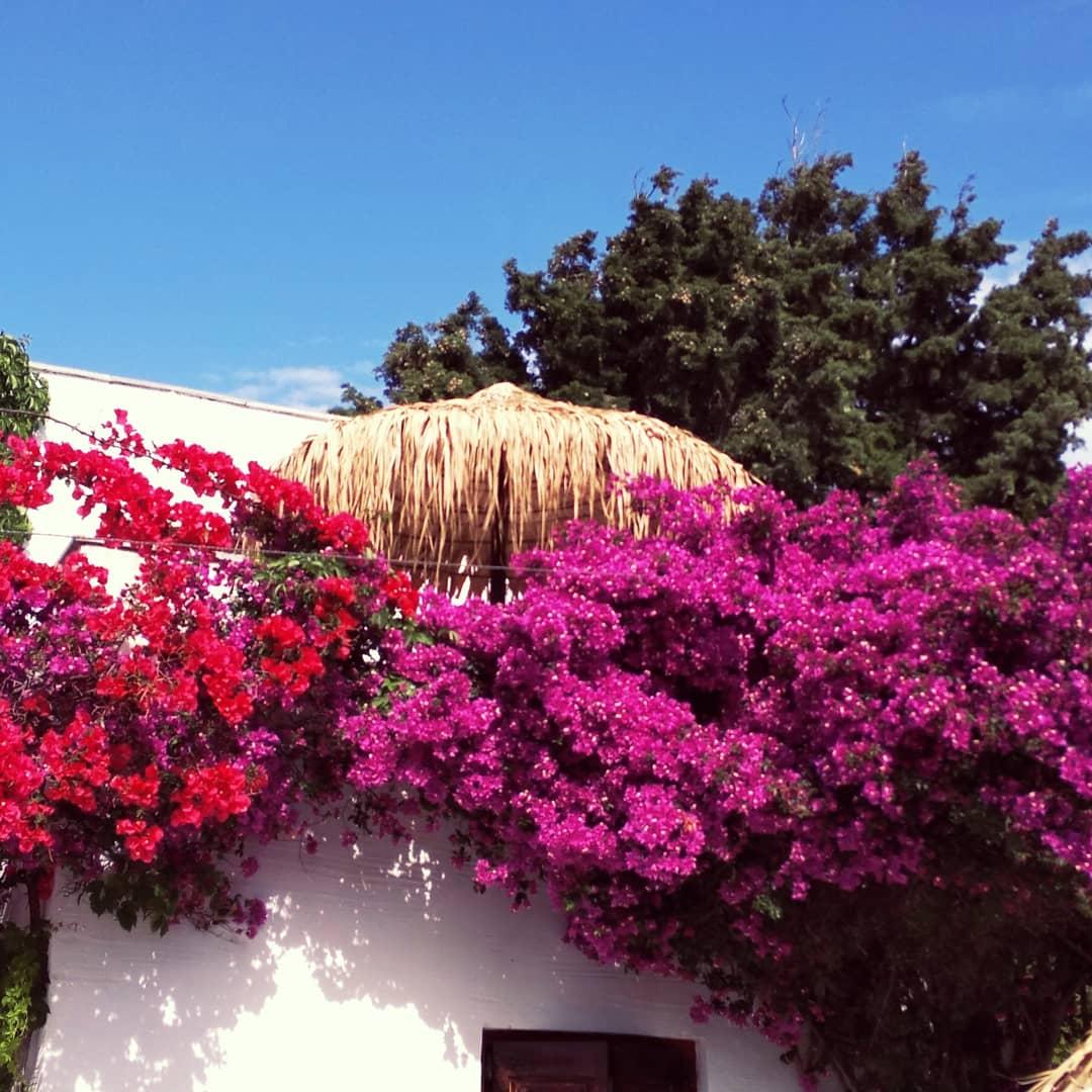 Naxos Summerland Resort Kastrákion Exteriér fotografie