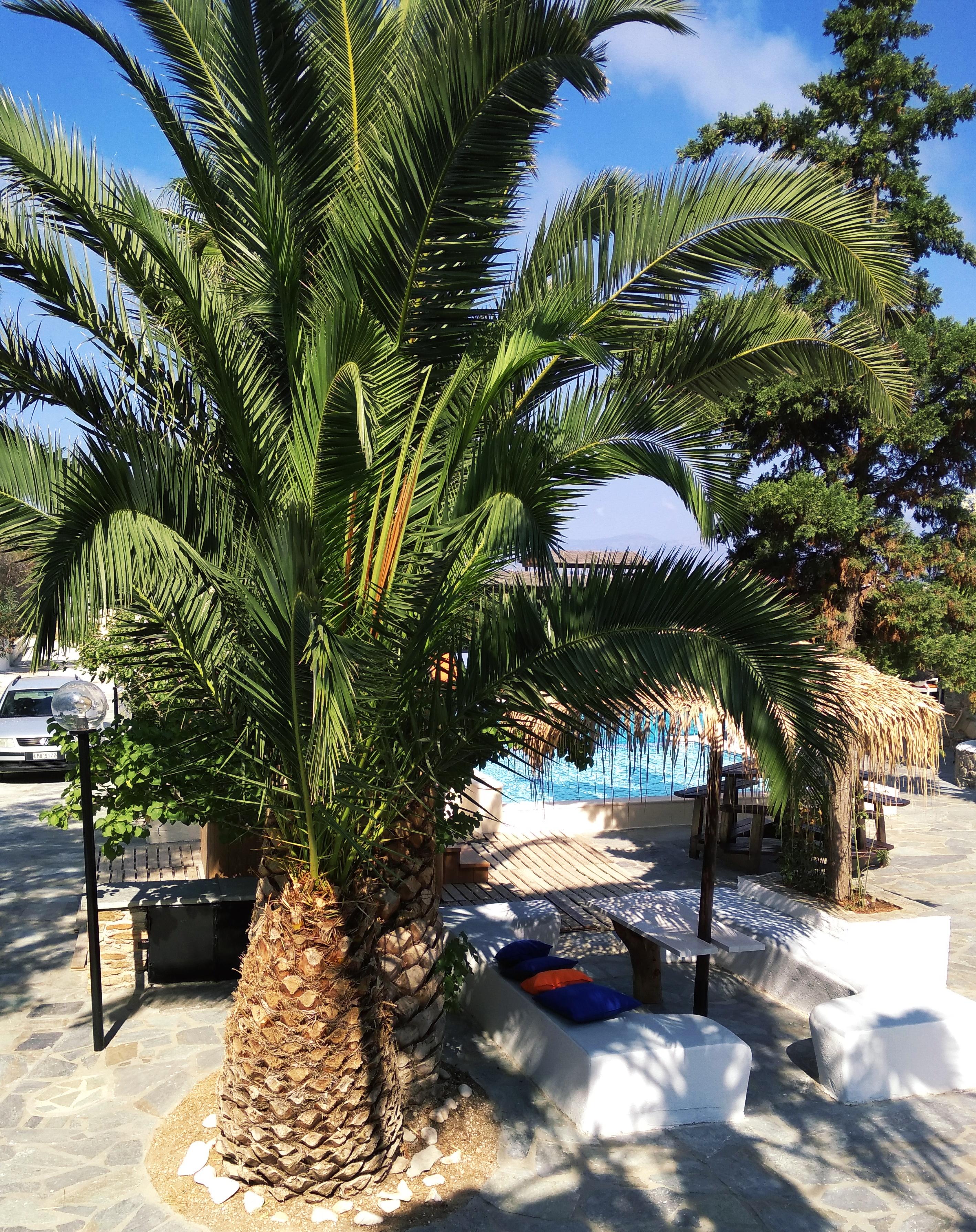 Naxos Summerland Resort Kastrákion Exteriér fotografie